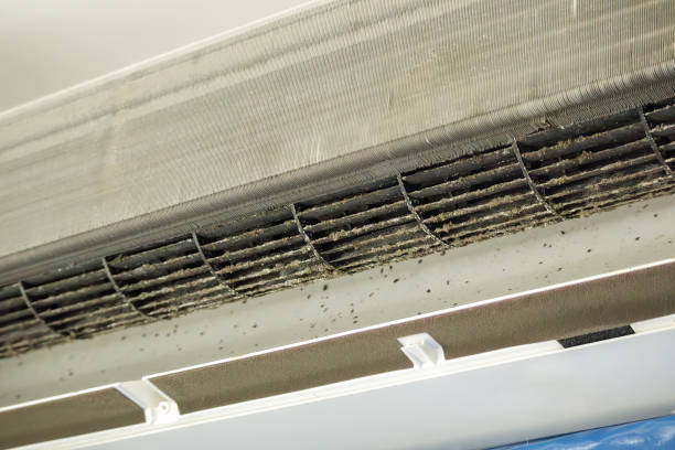 Best Emergency Air Duct Cleaning  in George, IA